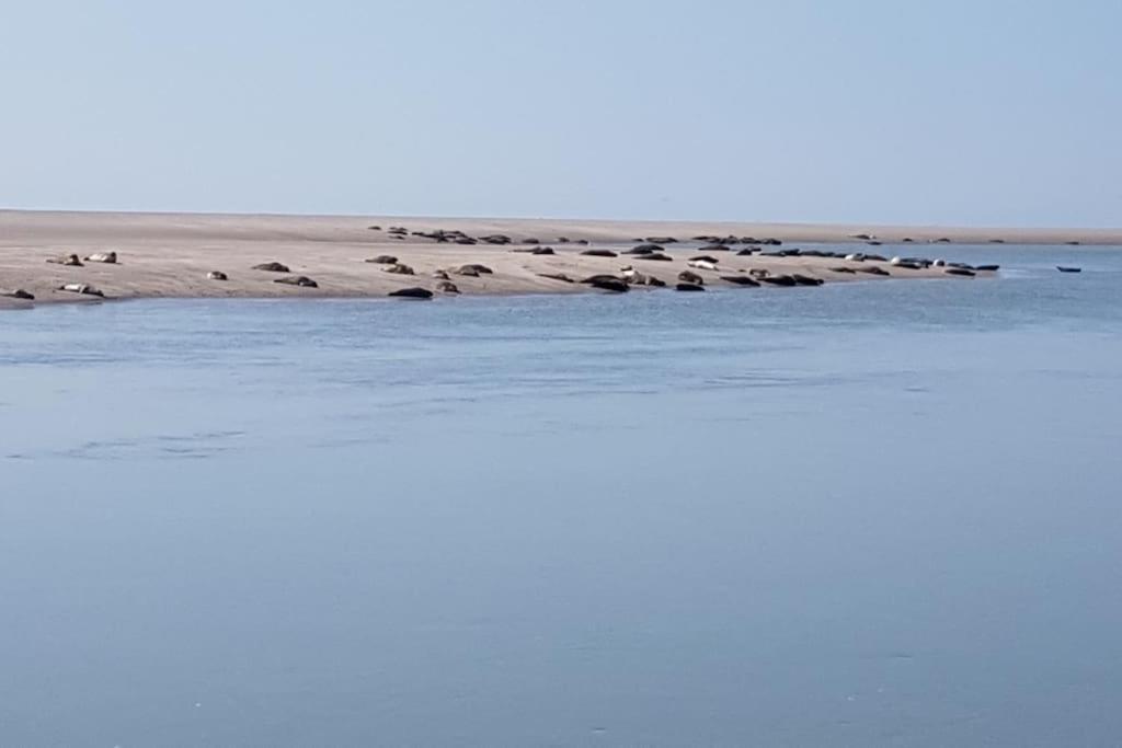 Maison Berckoise Belle Epoque - Plage Et Centre Buitenkant foto